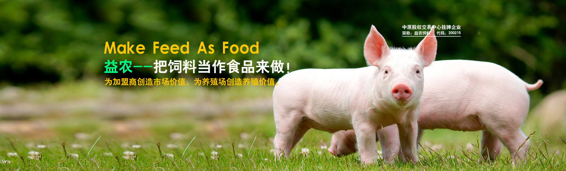 湯陰縣益農(nóng)飼料有(yǒu)限責任公司