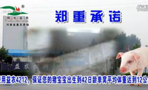 益農(nóng)飼料有(yǒu)限公司廣告