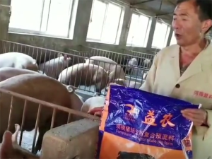 我為(wèi)益農(nóng)暴長(cháng)王代言