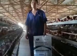原保軍在河(hé)南(nán)安陽為(wèi)益農(nóng)蛋雞預混料代言！